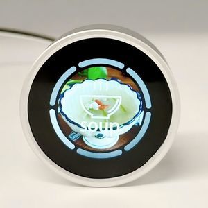 IPS方式ディスプレイ モジュール 1