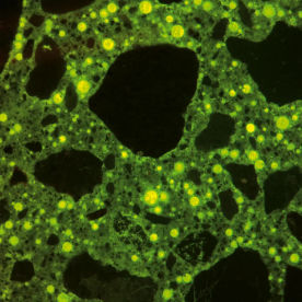乾式粉末