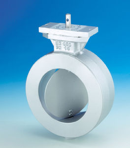 バタフライバルブ