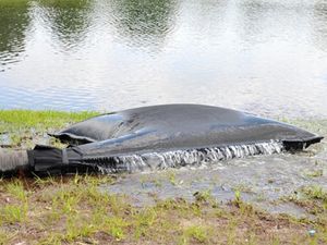 水フィルター用フィルターバッグ 1