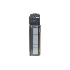 アナログ入出モジュール 1
