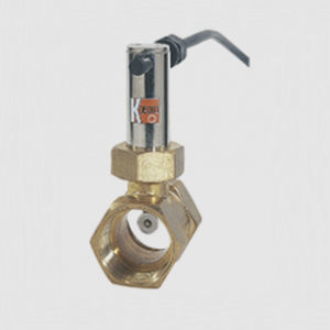 パドルフロスッチ