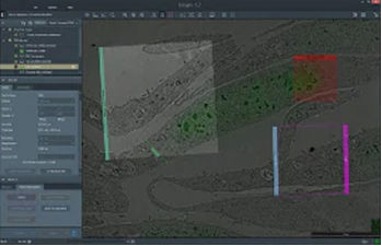 オートメーションソフトウェア - Maps 3  - THERMO FISHER SCIENTIFIC - MATERIALS SCIENCE - データ取り込み用 / データ収集用 / 分析