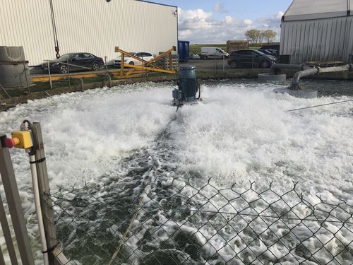 浮きエアレーター - AQUAFEN® - EUROPELEC - サーフェス用 / 廃水処理用 / 浄水施設用