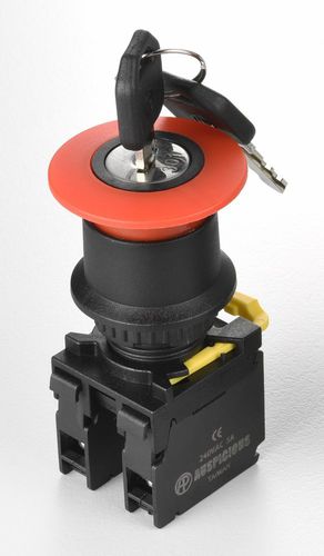 キーロックスイッチ - A2EKS series - Auspicious Electrical Engineering Co., Ltd. - 単極 / IP65 / 密閉型