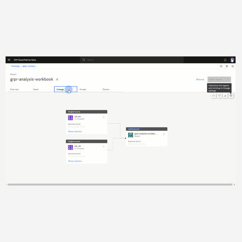 分析ソフトウェア - Data governance - IBM - モニタリング / 品質 / オートメーション