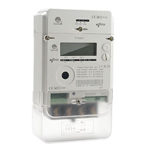 単相電力量計 - P12S01 - Ningbo Sanxing Electric Co., Ltd - 壁取り付け式 / デジタル / 住宅用