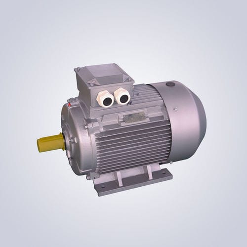 低電圧モーター - YE5 Series H80-355 - Jiangsu Dazhong Electric Motor CO., Ltd - 非同期 / 三相 / IE5