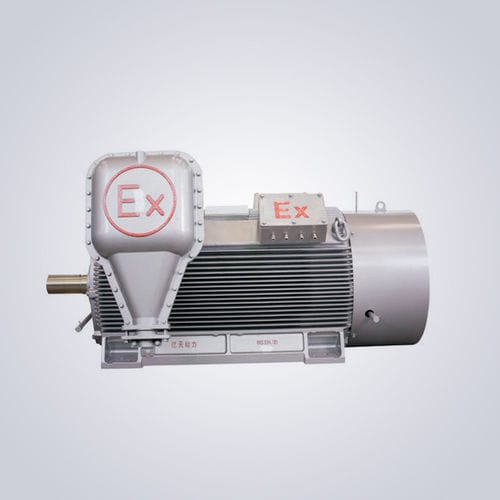 高電圧モーター - YB2 - Jiangsu Dazhong Electric Motor CO., Ltd - 非同期 / 三相 / 6000 V