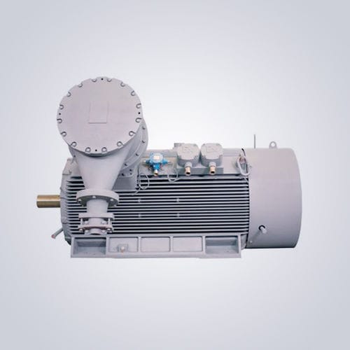 低速モーター - TYCPX series - Jiangsu Dazhong Electric Motor CO., Ltd - 同期 / 三相 / 6000 V
