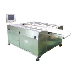 ベルトバッチ・ブレンダー - DHPZ-400*150-14 - Zhuhai dahang intelligent equipment co., LTD - 重量式 / 食品産業用 / 高精度