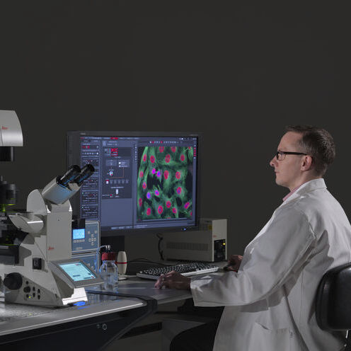 イメージングソフトウェア - LAS X Life Science - Leica Microsystems GmbH/ライカ - 顕微鏡用 / Windows
