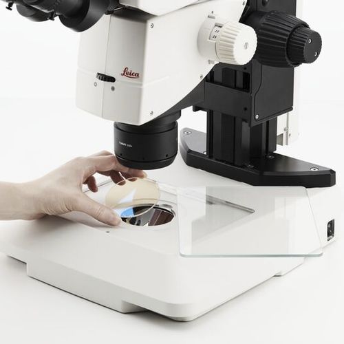 LED照明 - TL3000 Ergo, TL5000 Ergo - Leica Microsystems GmbH/ライカ
