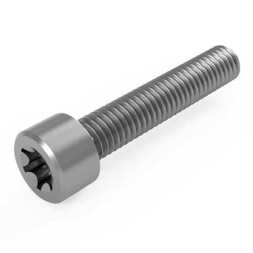 接合ねじ - TSC14579-M series - Vital Parts ltd - 中空ヘッド / トルクス / スチール製