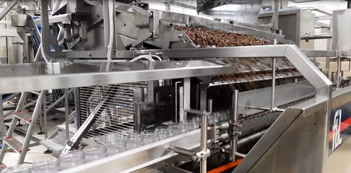 缶詰充填機 - FL-04 - F.B.L. Food Machinery S.r.l. - ガラス製容器用 / 顆粒用 / 食品用