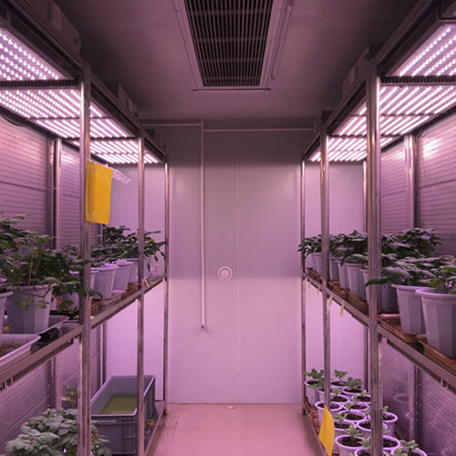 温度テストチャンバー - WIPGC-01 - Fujian Jiupo Biotechnology Co., Ltd. - 湿度 / 縦型 / ステンレス鋼製