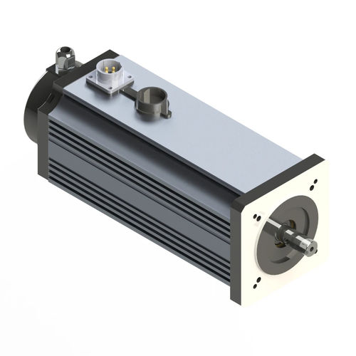ブラシレスモーター - M090-L - Electric Motor Power Pty Ltd - DC / 永久磁石 / TENV