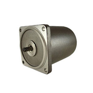 誘導モーター - 80 series - Zhejiang Dongzheng Motor Co., Ltd. - AC / 220V / 110 V