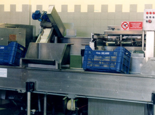シトラス皮むき機 - Agromeccanica srl