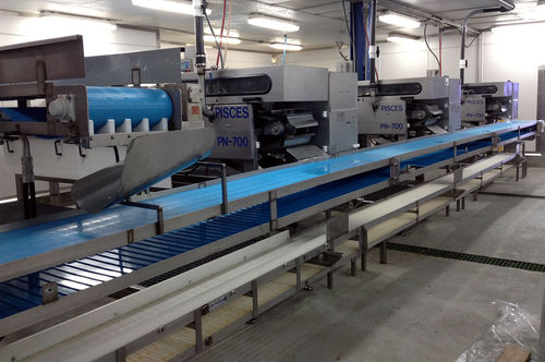メルル－サ用頭と内臓除去機 - PN-700 - Pisces Fish Machinery Inc.