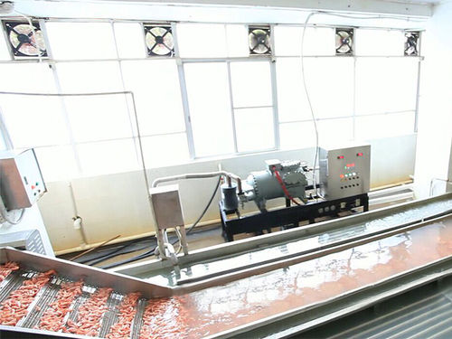 水用冷却器 - ZD-XL 6000 - Shrimp Machine - エビ用 / ステンレス鋼製 / コンベヤー ベルト付