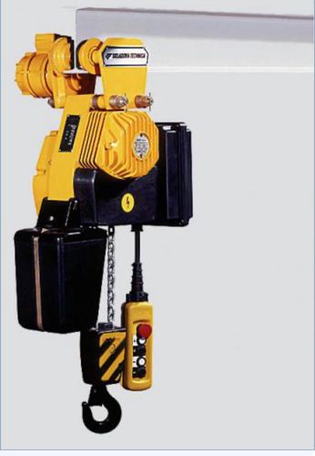 電動式チェーンホイスト - T BYC 104M 2 - Alexandria Crane Systems