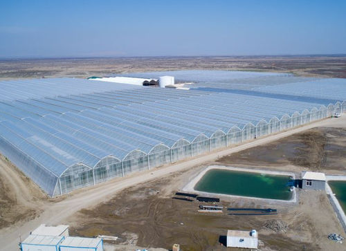 ポリエチレン板 - Gakon Horticultural Projects BV