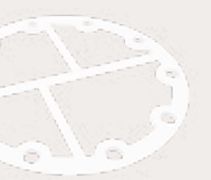 PTFEガスケットシート - Virgen - Epidor Seals & Rubber Technology - 飲料用