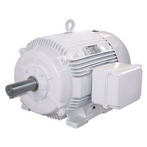 ACモーター - 5KR213SCG308 - GE Motors - 460V / 鋳鉄製 / TEFC