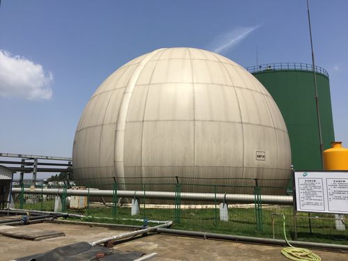バイオガスタンク - Hunan Along New Energy Technologies Co., Ltd. - 二重構造 / 貯蔵用