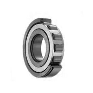 ころ軸受 - Yuyao Bote Bearing Co., Ltd. - 針状ころ / 垂直方向 / 単列