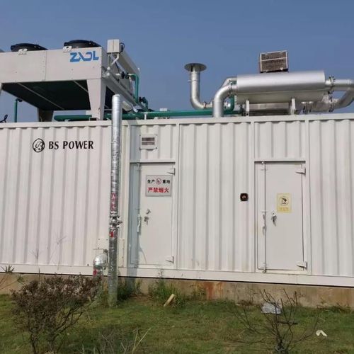 天然ガス発電設備 - Perkins - Guangdong Binshi Power Technology Company - LPG / バイオガス / 単相