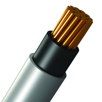 電力電力ケーブル - Shanghai Bluewin Wire & Cable Co., Ltd. - 絶縁 / 銅 / 産業用