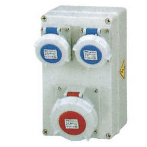 カスタム電気エンクロージャ - 152517 - Yueqing Zhicheng Electrical Equipment Co., Ltd. - 壁取り付け式 / IP66 / 配電用