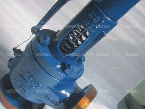フランジ取り付け安全弁 - Vatac Valves (Wenzhou) Corporation