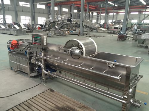 マッシュルーム用洗浄機 - WXJ - SHAOXING WALLEY FOOD MACHINERY CO., LTD. - イチゴ用