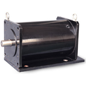 誘導モーター - WTGSDJ series - Jiang Su Weiteli Motor Co.,Ltd - 水冷式 / 電動車両用 / RS-485