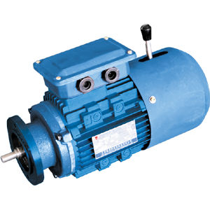 非同期ブレーキ モーター - YEJ series - Jiang Su Weiteli Motor Co.,Ltd - 三相 / 電磁ブレーキ付き / TEFC