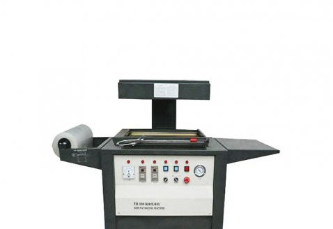 自動包装機 - DZT-540 - Qingdao Ausense Packing Equipment Co., Ltd. - 真空