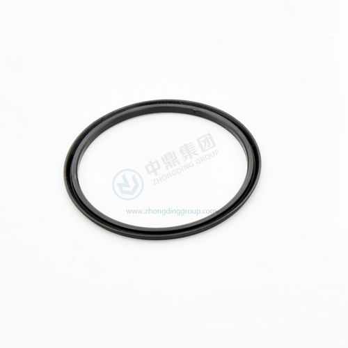 円形シール材 - ANHUI ZHONGDING SEALING PARTS CO.,LTD - ピストン / トランスミッション用 / オイル用