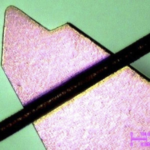 プロファ@ @ル@ @ンサ@ @ト