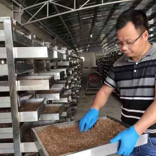 家庭用廃棄物処理設備 - Wenzhou Jinbang Light Ind Machinery Co., Ltd - 食品用 / 都市廃棄物 / 産業