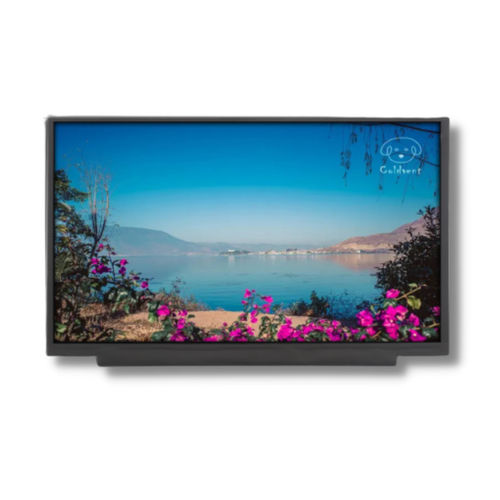 TFT LCDディスプレイ モジュール - TTX116BHT-01 - TAILOR PIXELS TECHNOLOGY CO., LTD. - IPS方式 / 1920 x 1080 / 11.6インチ