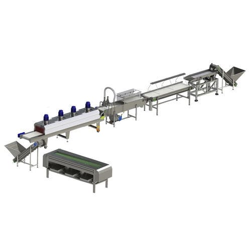 ナツメヤシ用加工ライン - Zibo Unique Machinery Co., Ltd. - 洗浄用 / キャリブレーション