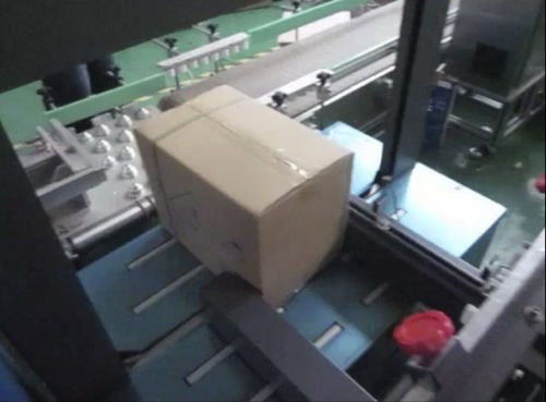 高速箱詰め機 - Ttma Guangzhou Co., Ltd. - 全自動 / ボール箱用