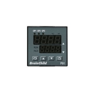 アナログ温度コントローラー - P91 - BRAINCHILD ELECTRONIC CO., LTD - PID / ランプ/ソークプログラム可能 / 設定可能
