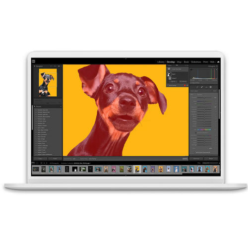 制御ソフトウェア - Lightroom Classic - ADOBE - 編集用 / イメージング / カラー