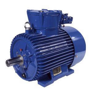 同期モーター - (E)cSgb280S2-EP - Cantoni Motor - 三相 / 400V / リスケージ