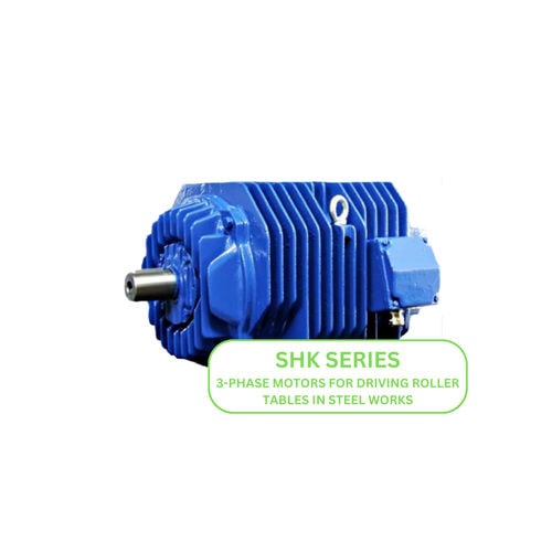非同期モーター - SHK series - Cantoni Motor - 3相 / 550V / リスケージ