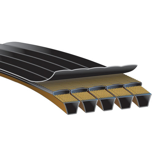V型ベルト - PREDATOR® POWERBAND® - Gates/ゲイツ - クロロプレン製 / ネオプレン製 / 滑車用